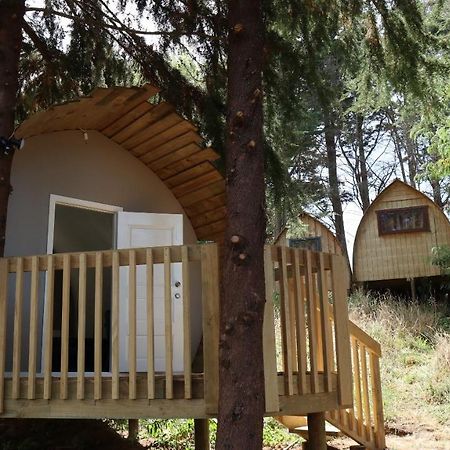 Hamilton Golf Lodge Εξωτερικό φωτογραφία