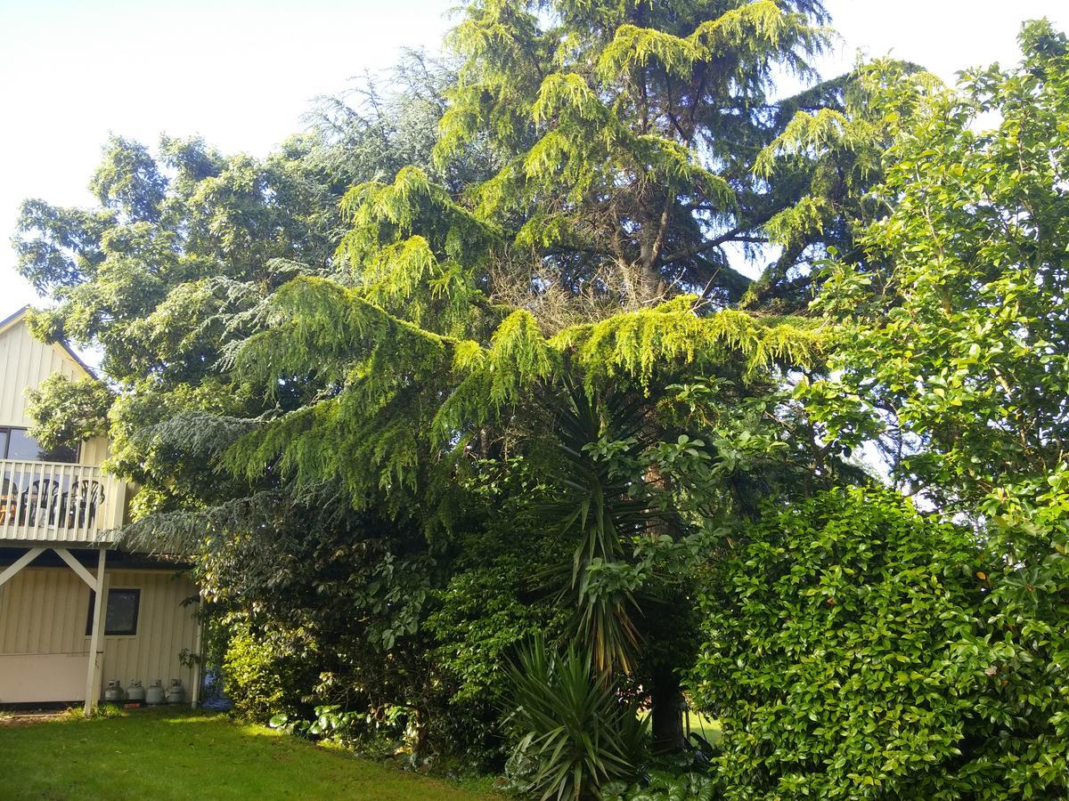 Hamilton Golf Lodge Εξωτερικό φωτογραφία