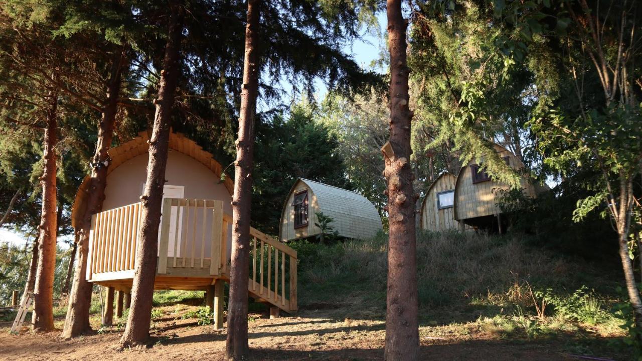 Hamilton Golf Lodge Εξωτερικό φωτογραφία